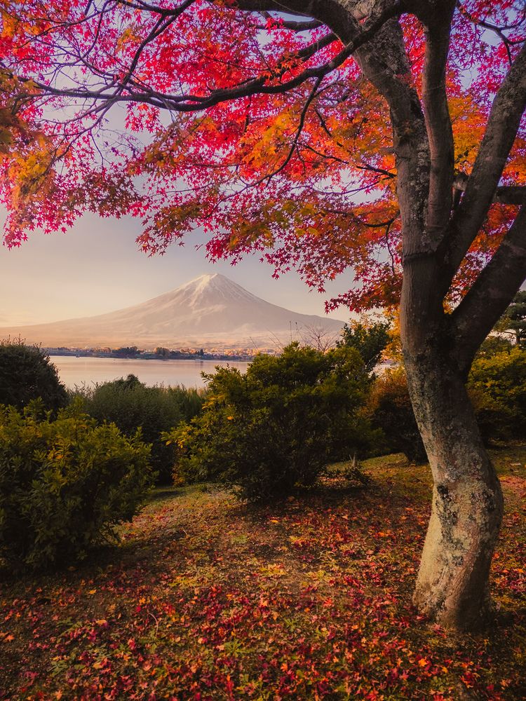 Photograph by Evgeny Pochaev