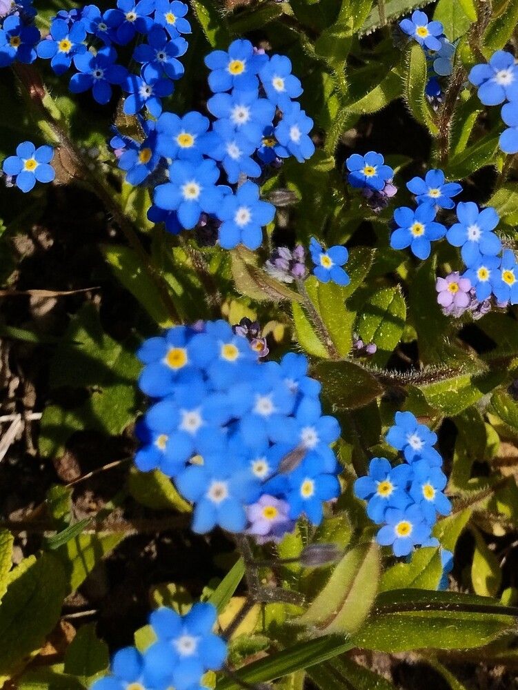 Photograph by Ия Дирко