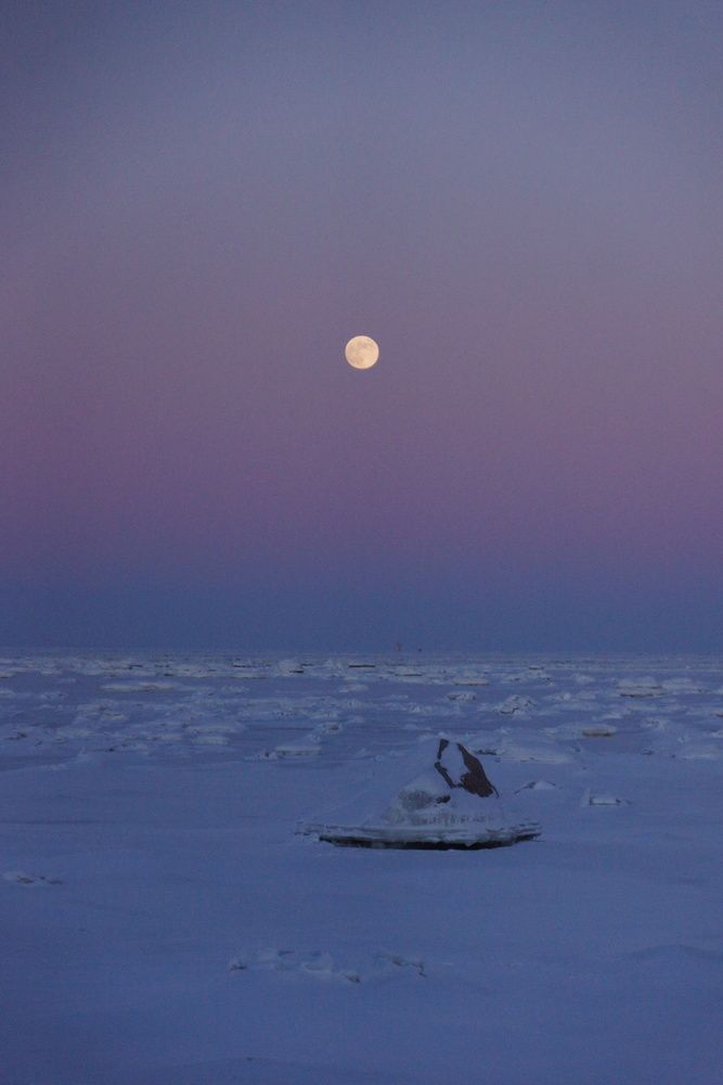 Фотография автора Дмитрий Земсков