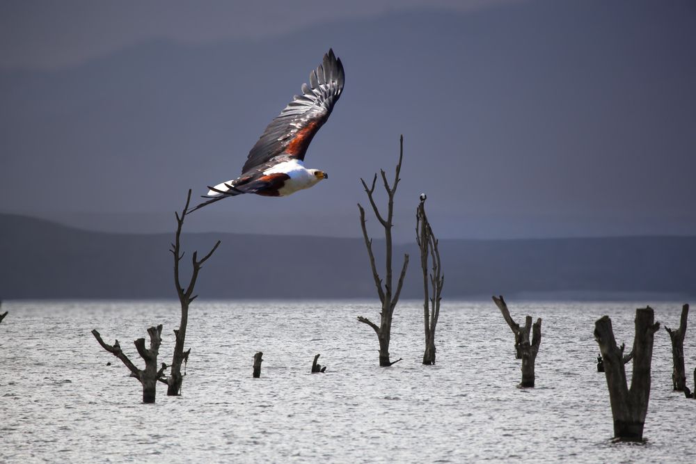 Photograph by Siamak Sabet