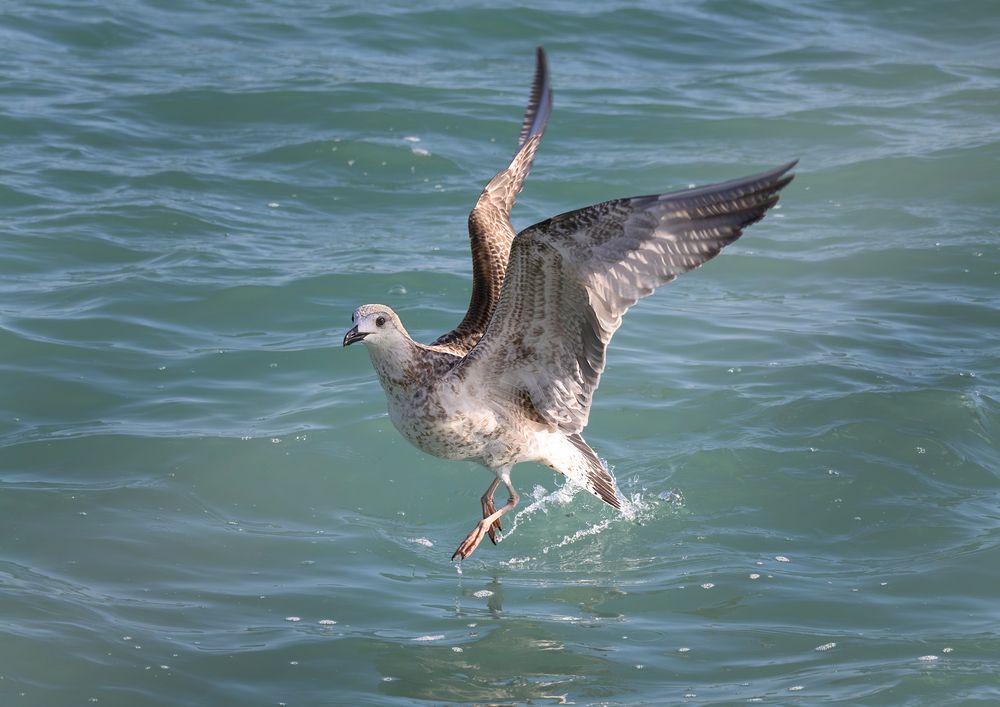 Photograph by Сергей Мальцев