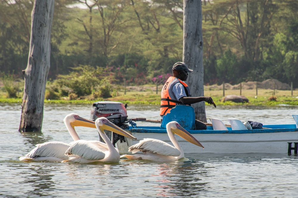 Photograph by Наталья Кокорина