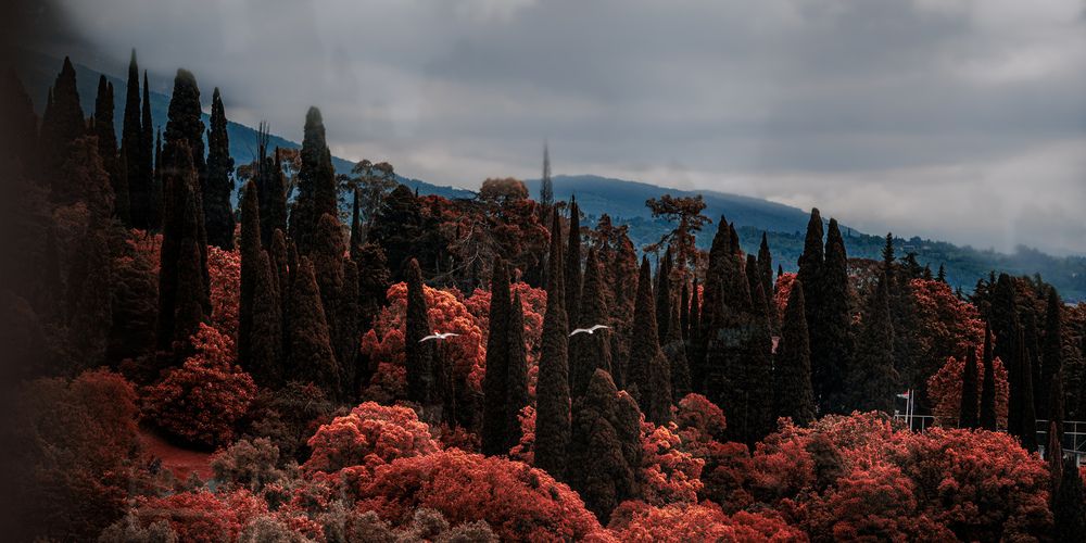 Photograph by Сергей ПЛАТОНОВ
