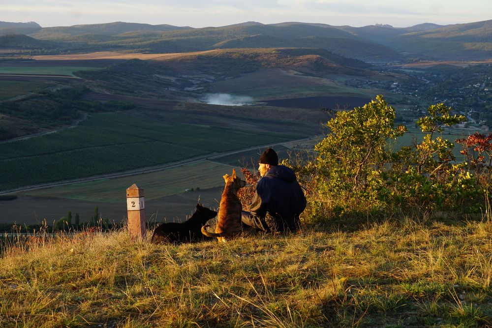 Photograph by света хлевненко