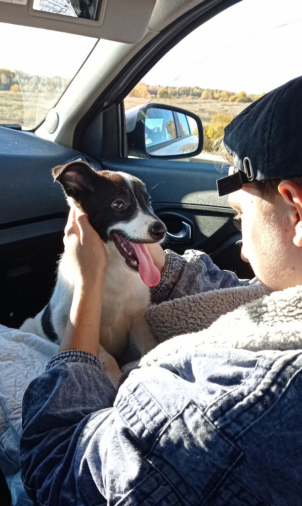 Photograph by Оля Горская