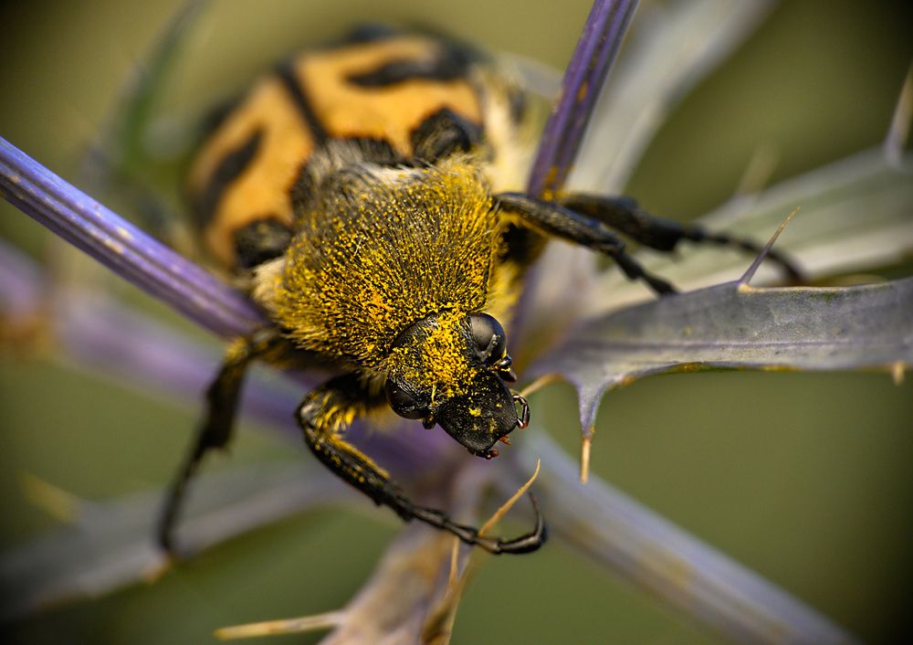 Photograph by Сергей Мальцев