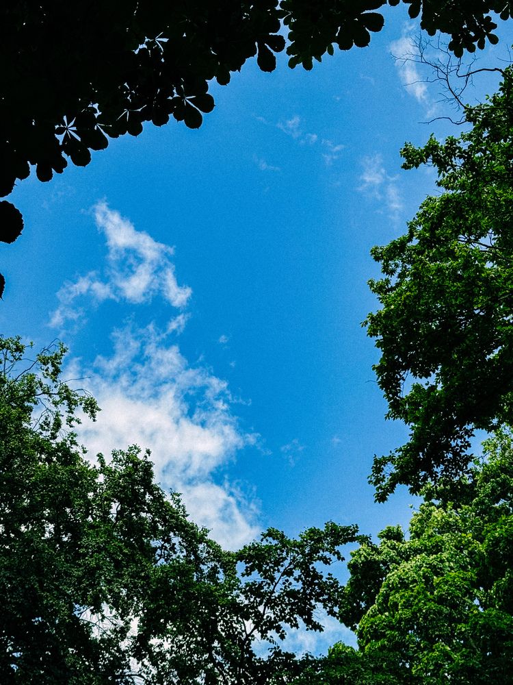 Photograph by Evgenia