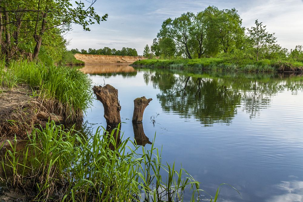Photograph by Николай Кузьмин