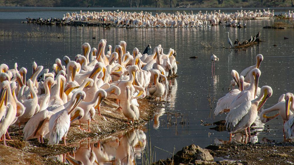 Photograph by Наталья Кокорина