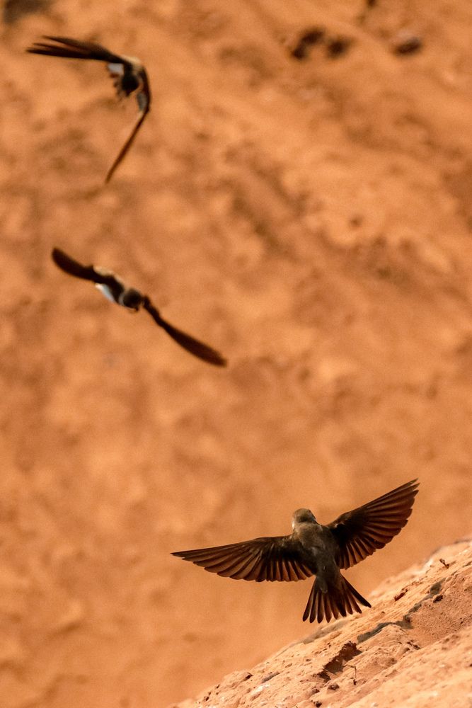 Photograph by Алексей Болотов