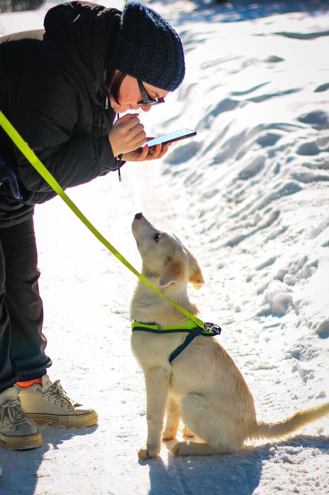 Photograph by Любовь Иванова