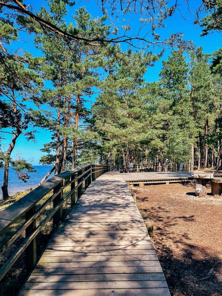 Photograph by Evgenia