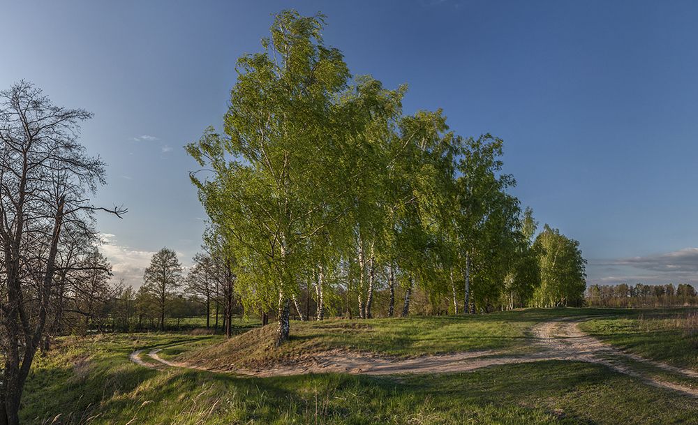 Photograph by Николай Кузьмин