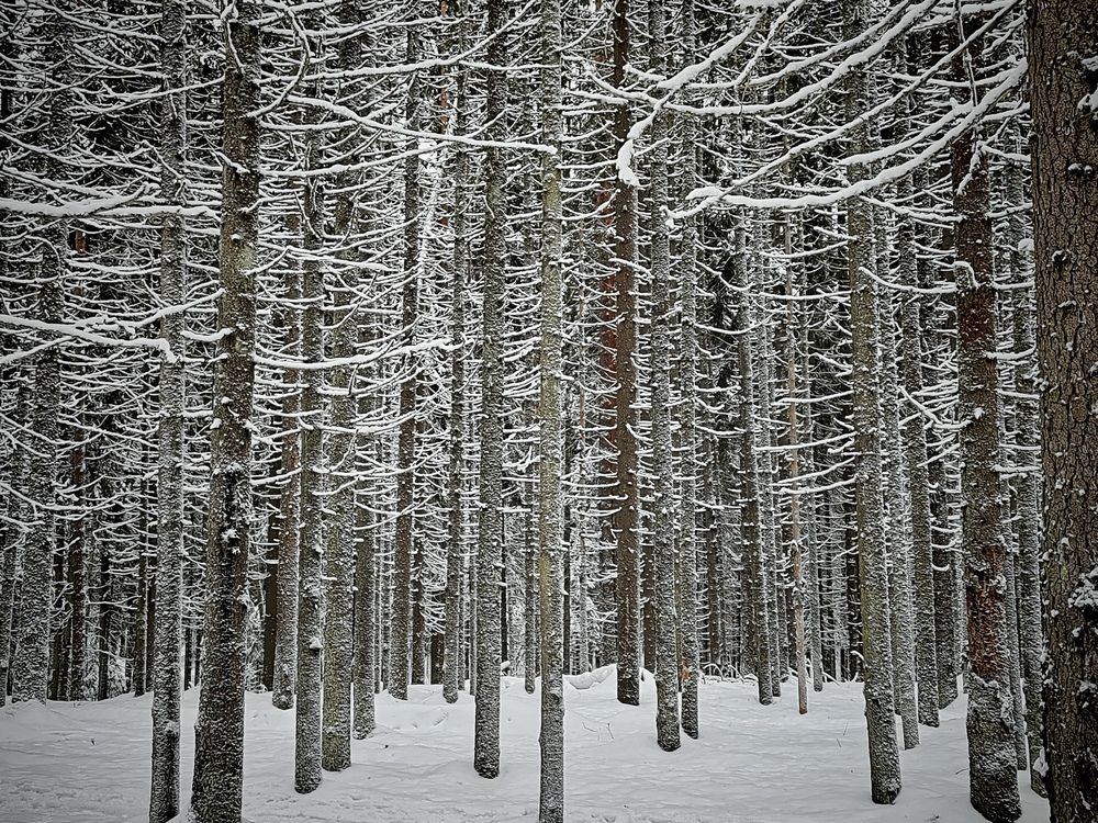 Photograph by Ольга Рыбина