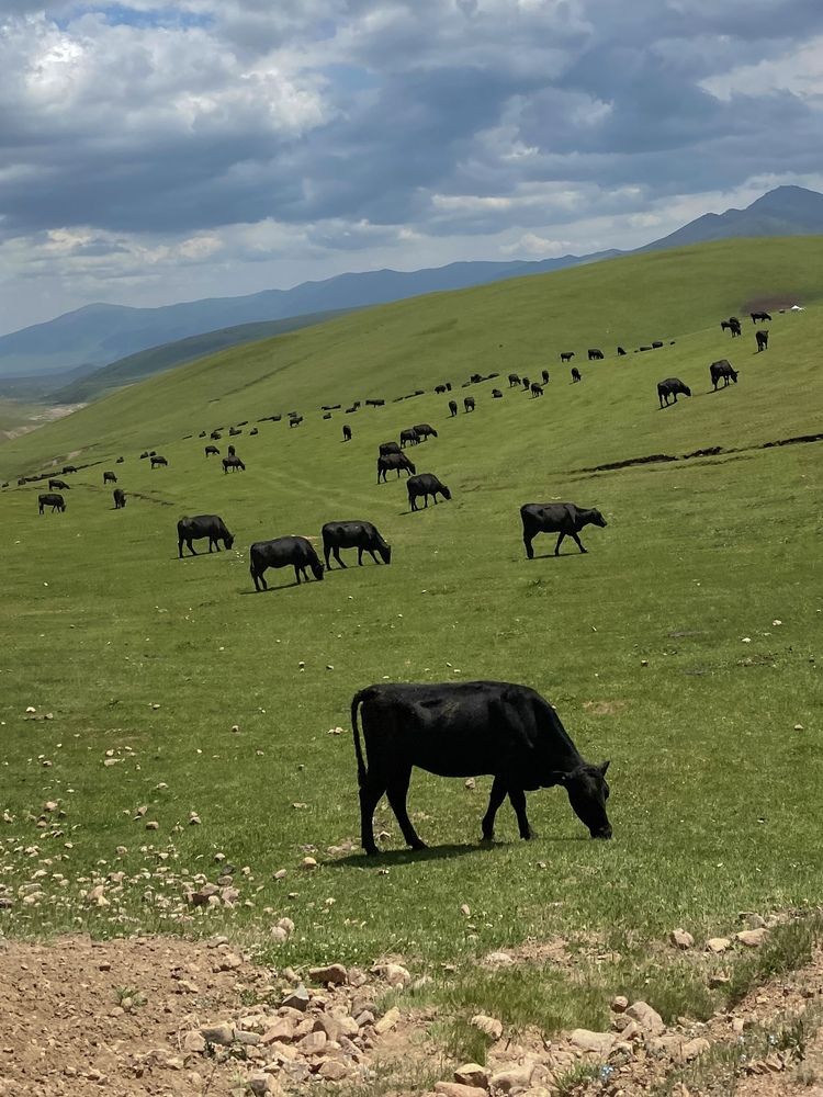 Фотография автора Ol`ga Lukyanova