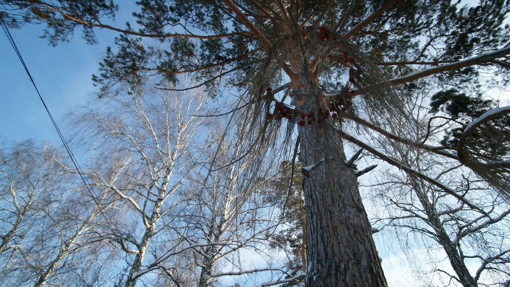 Photograph by Марина Лосева