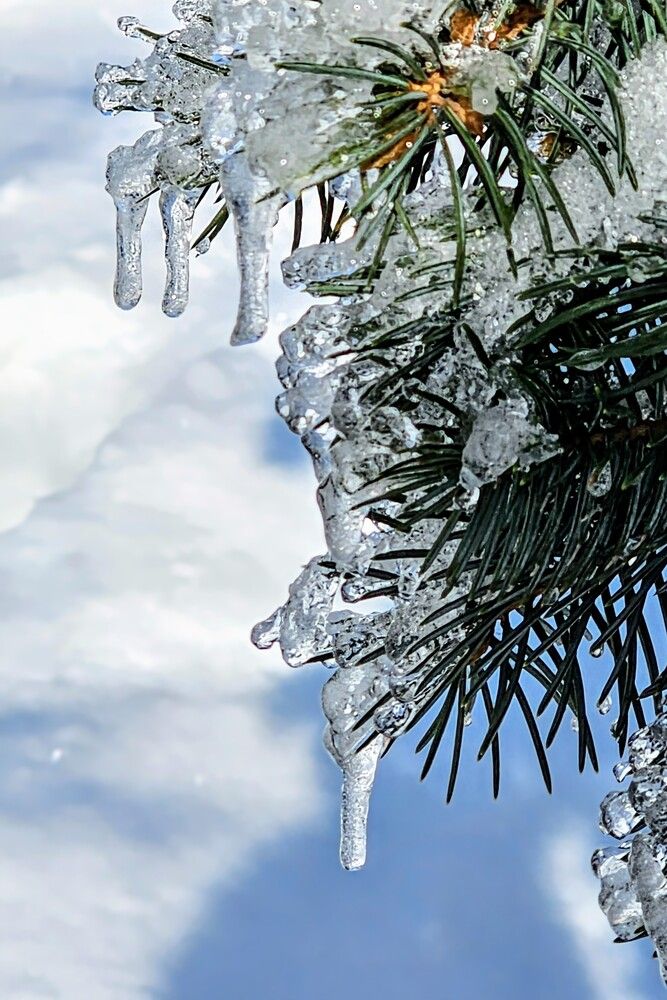 Photograph by Людмила Локтионова