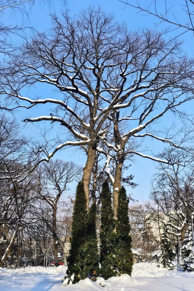 Photograph by Людмила Локтионова