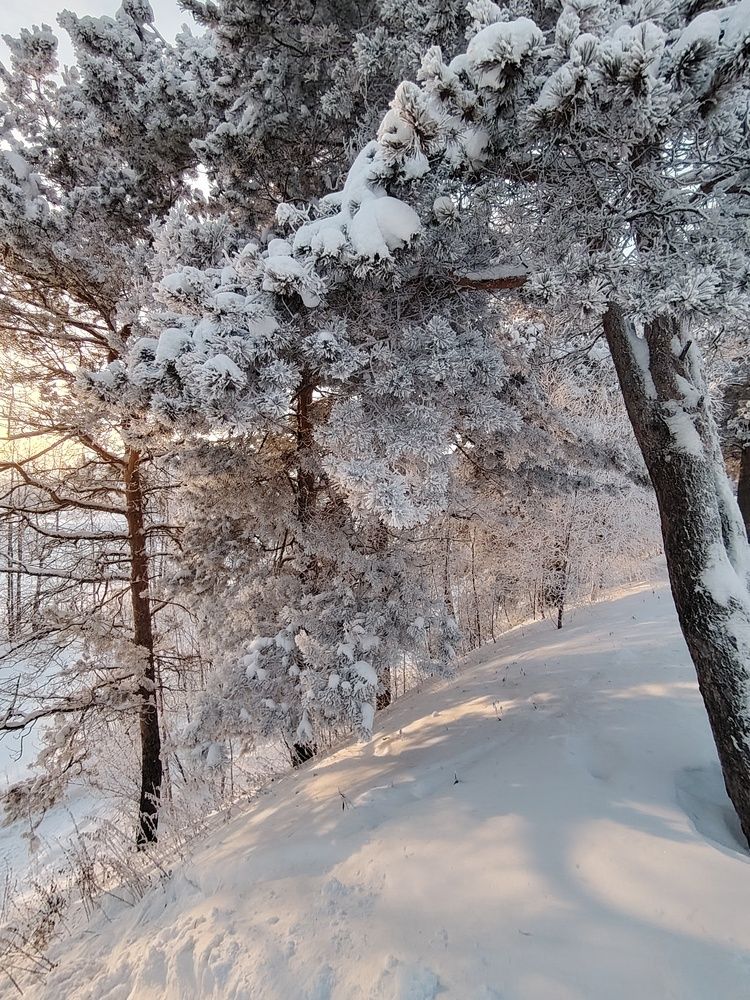 Фотография автора Виталий Са