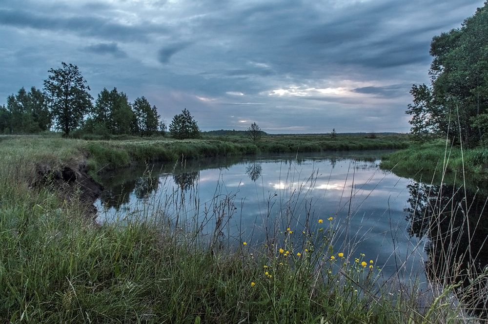 Photograph by Николай Кузьмин