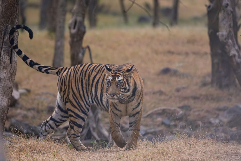 Photograph by Anubhav Gogoi