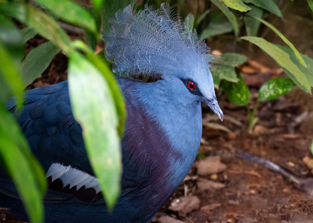 Photograph by Наталья Кокорина