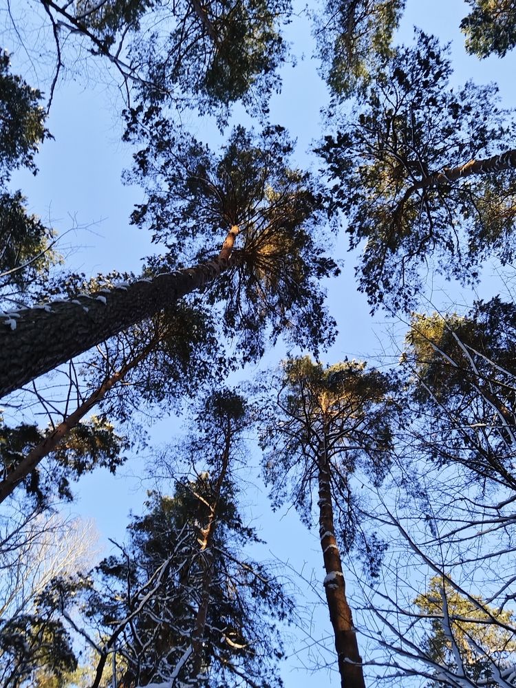 Photograph by Юлія Гацко