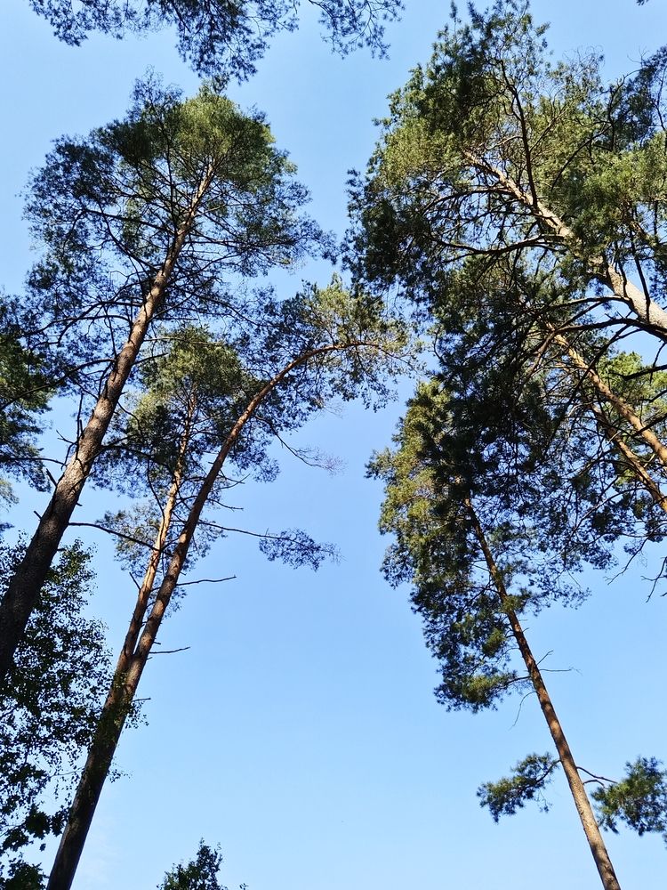 Photograph by Юлія Гацко