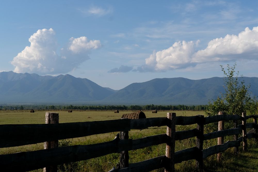 Фотография автора Любовь Чечешкина