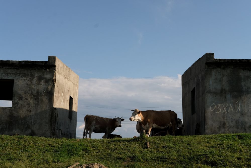 Тепло уходящего дня