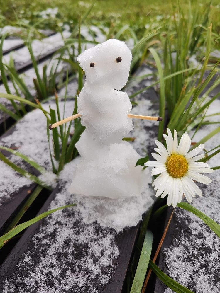Снег в мае