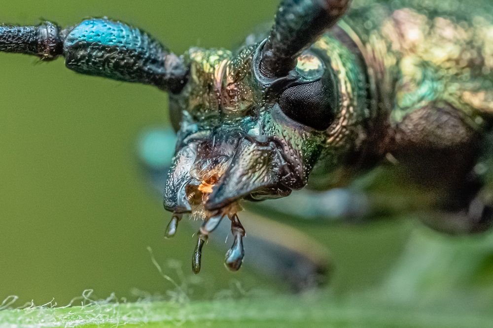 Photograph by БОРИС БЕЛКАНИЯ