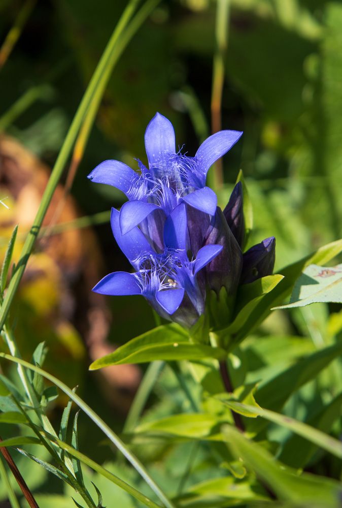 Фотография автора Кушпилева Марина