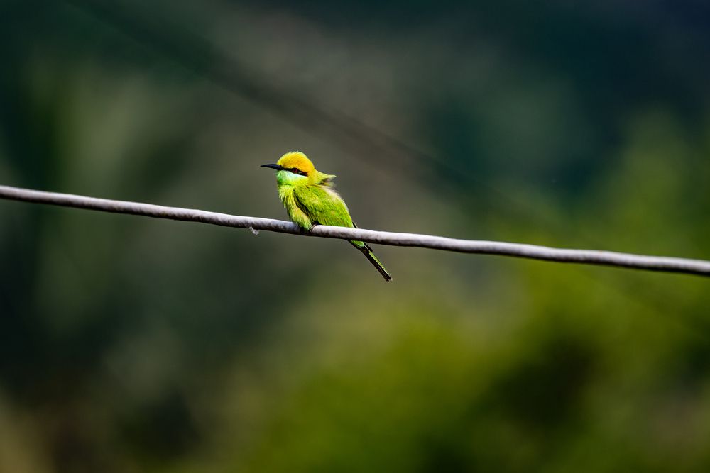 Photograph by Neelimaa Ripote