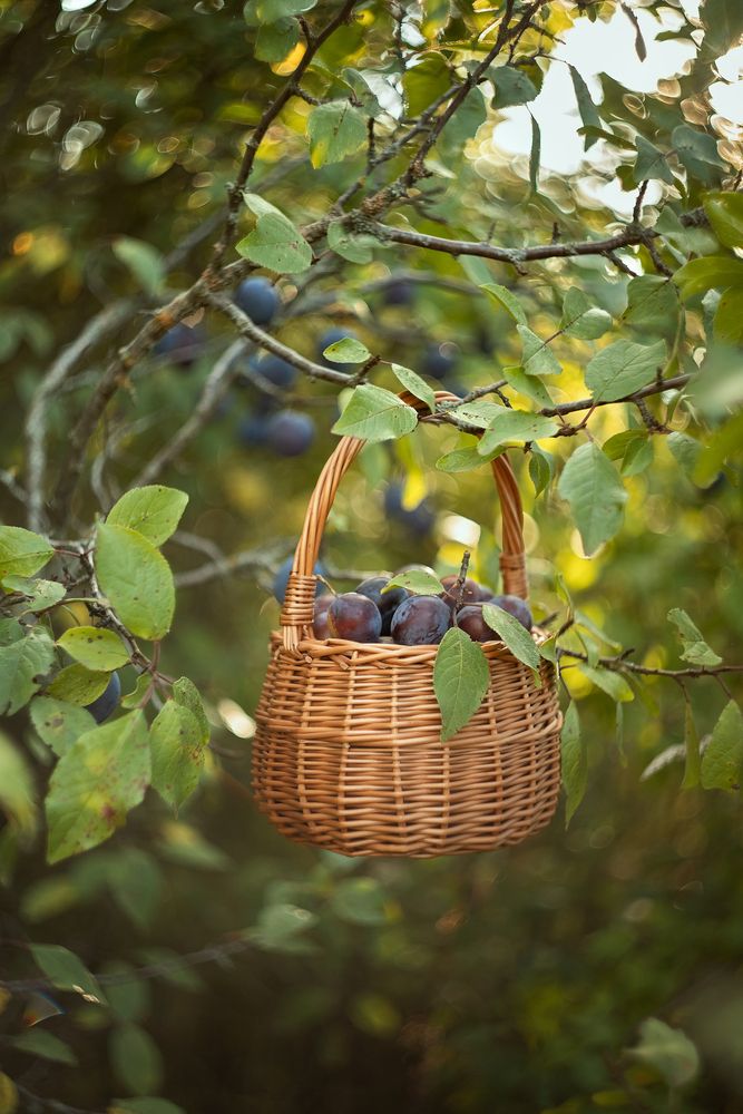 Photograph by Елена Косинова