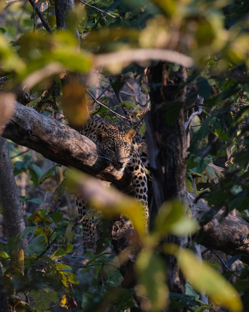 Photograph by Anubhav Gogoi