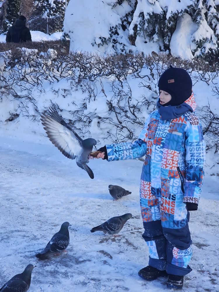 Photograph by Людмила Локтионова