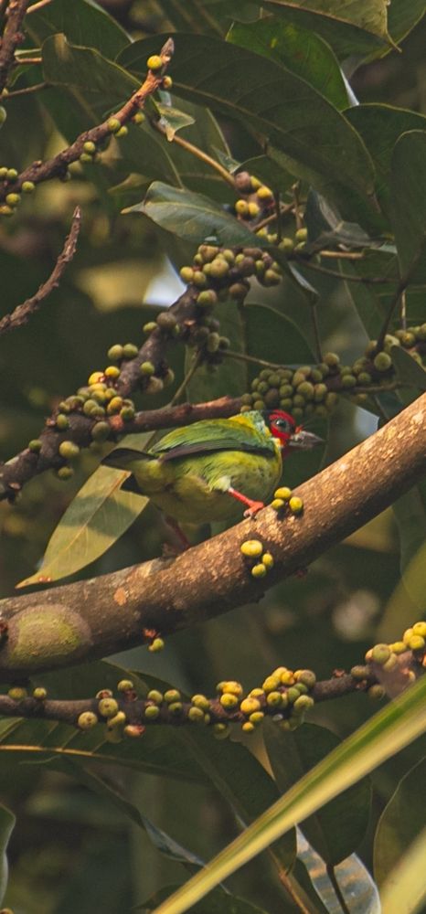 Photograph by Neelimaa Ripote