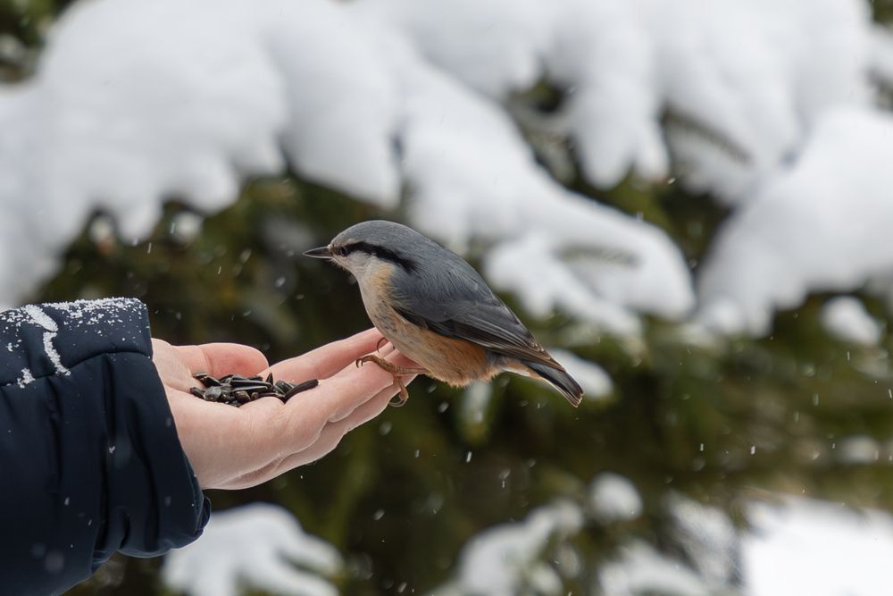 Photograph by Юлия Яковлева
