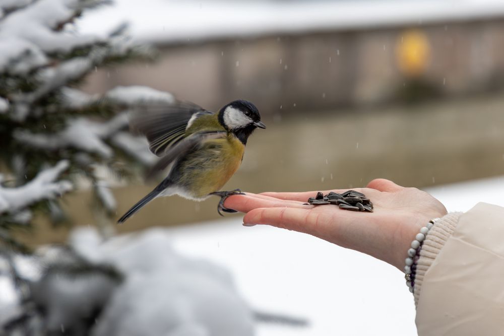 Photograph by Юлия Яковлева