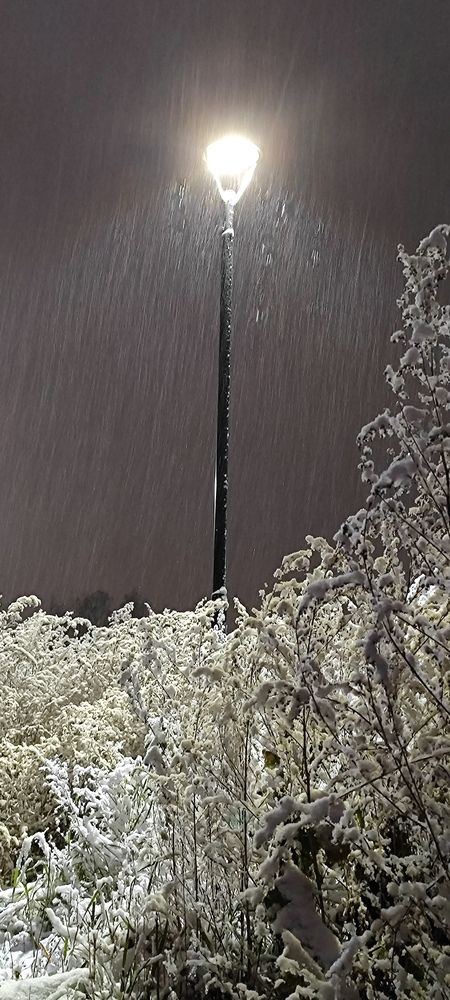 Photograph by Оксана Антощук