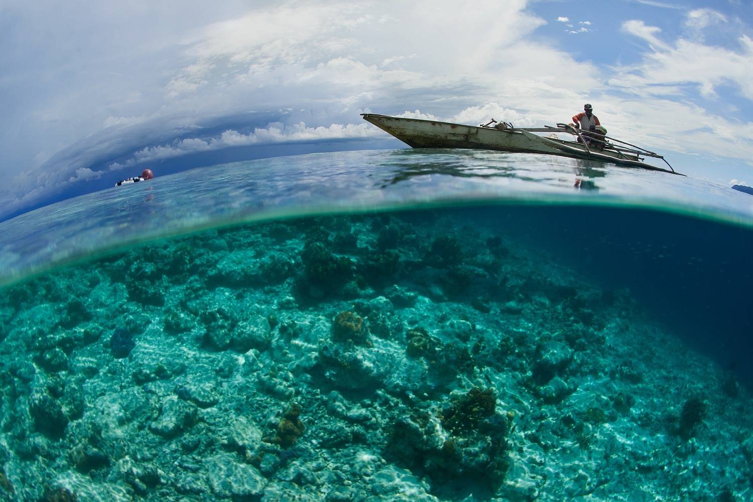 Фотография #13193796