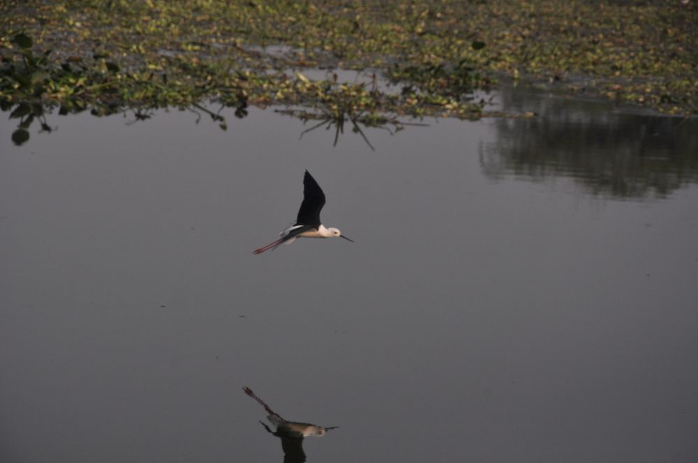 Photograph by SANDEEP KUMAR SHARMA