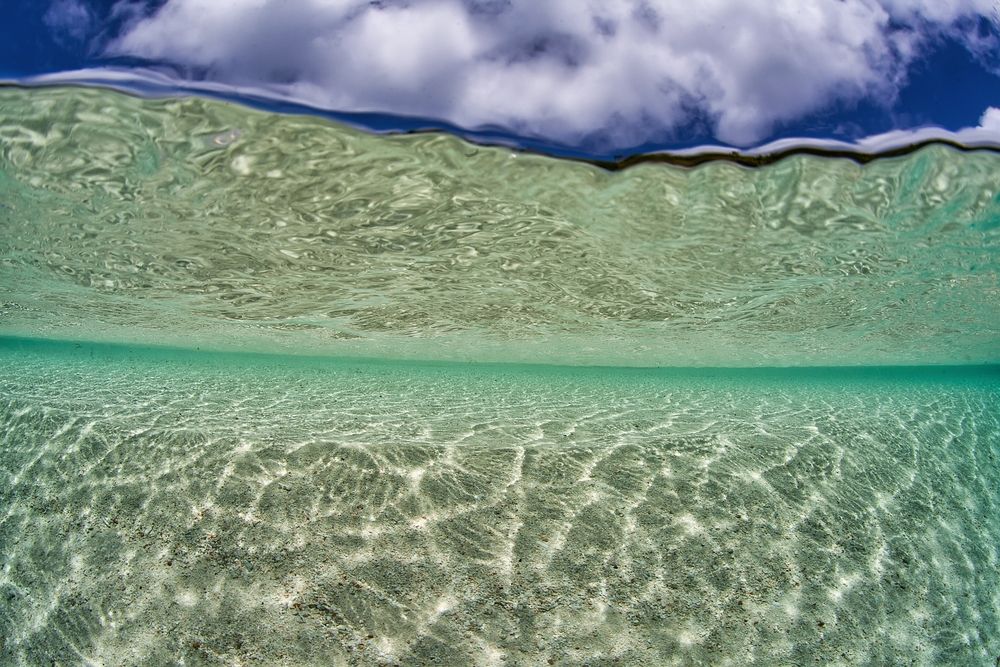 Фотография автора Андрей Нарчук