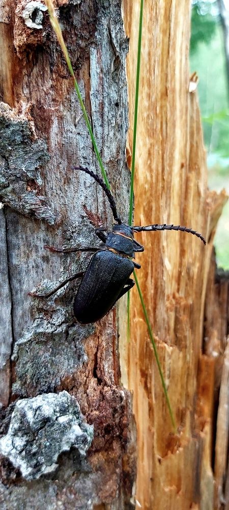 Photograph by Ярославна