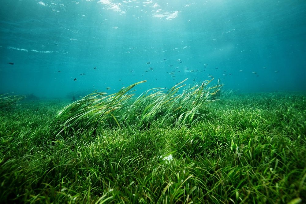Фотография автора Андрей Нарчук