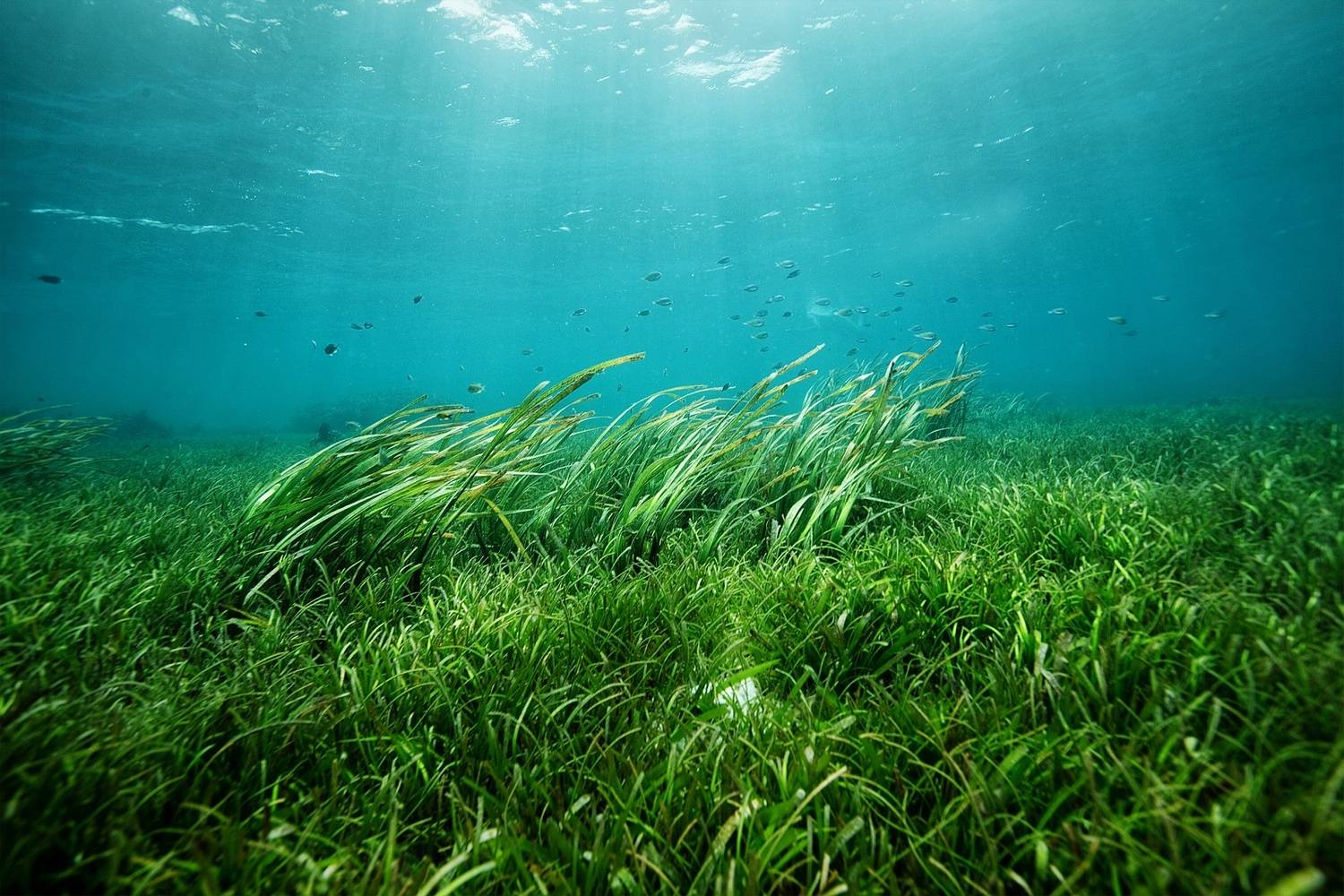 Фотография #13193843