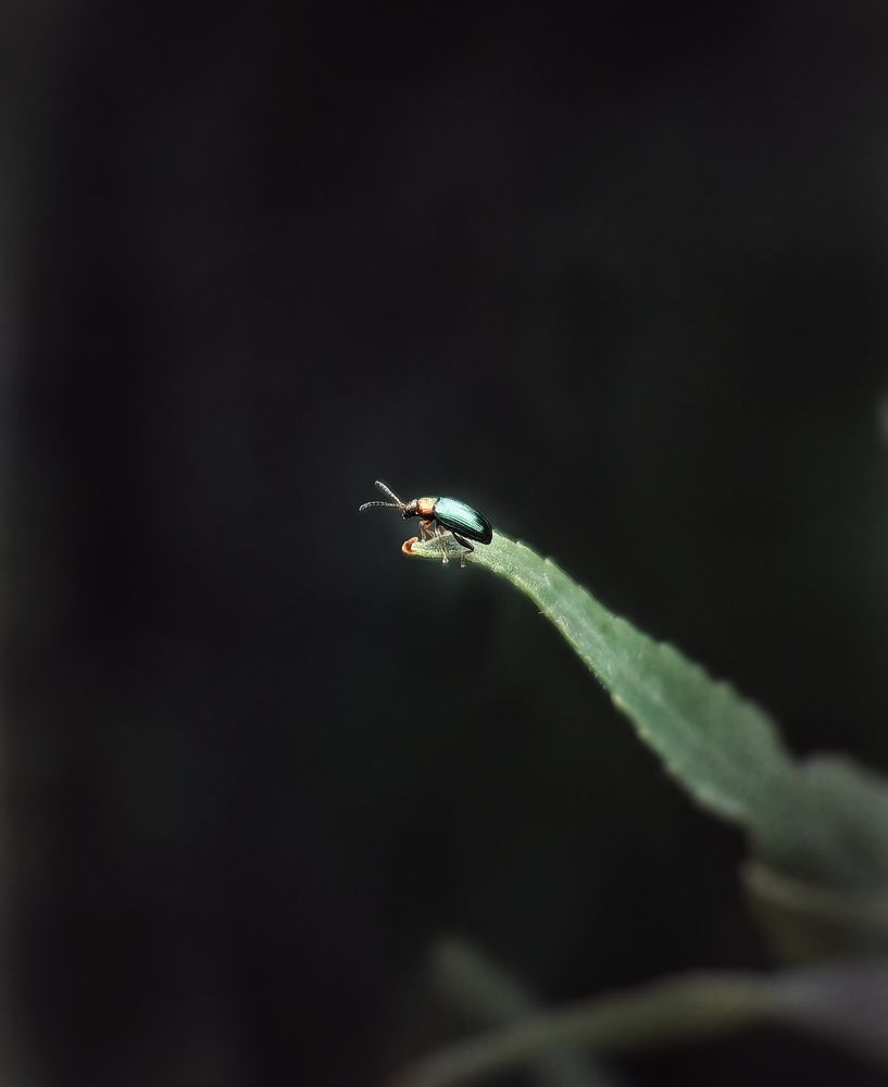 Photograph by Ярославна