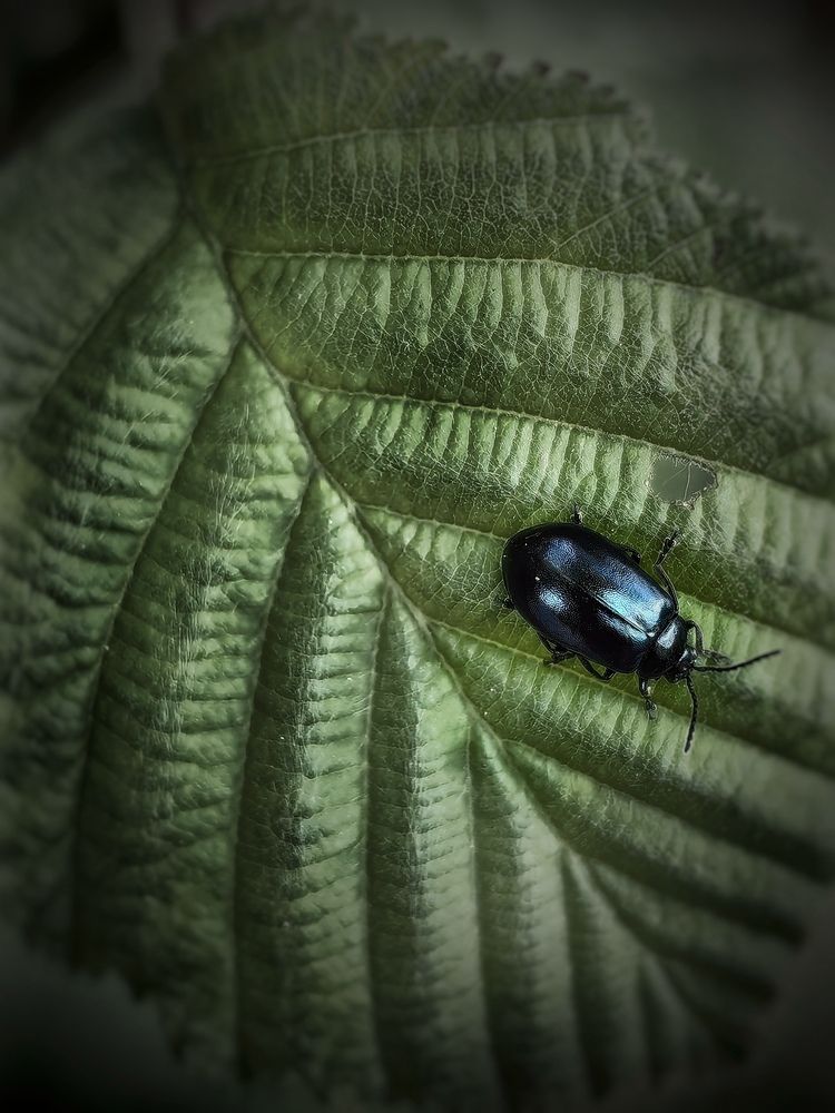 Photograph by Ярославна