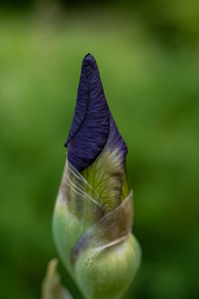 Photograph by Даниил Пузаков